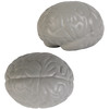 Stress Brains